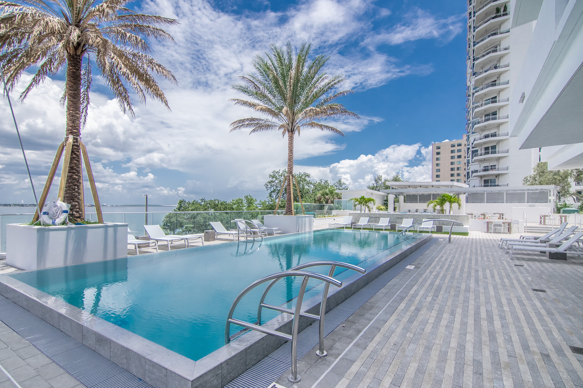 Downtown Tampa Activity
